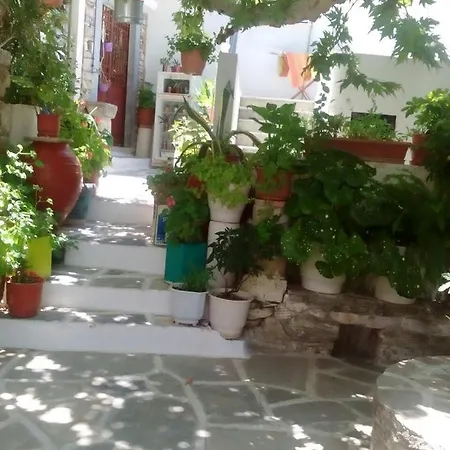 Fasolas Square House 