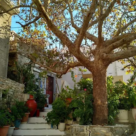 Casa vacanze Fasolas Square House 